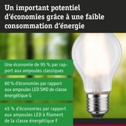Ampoule LED économique avec verre blanc et base argentée sur fond vert-bleu flou