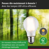 Ampoule LED à lumière blanc chaud et haute efficacité énergétique sur fond de forêt verte