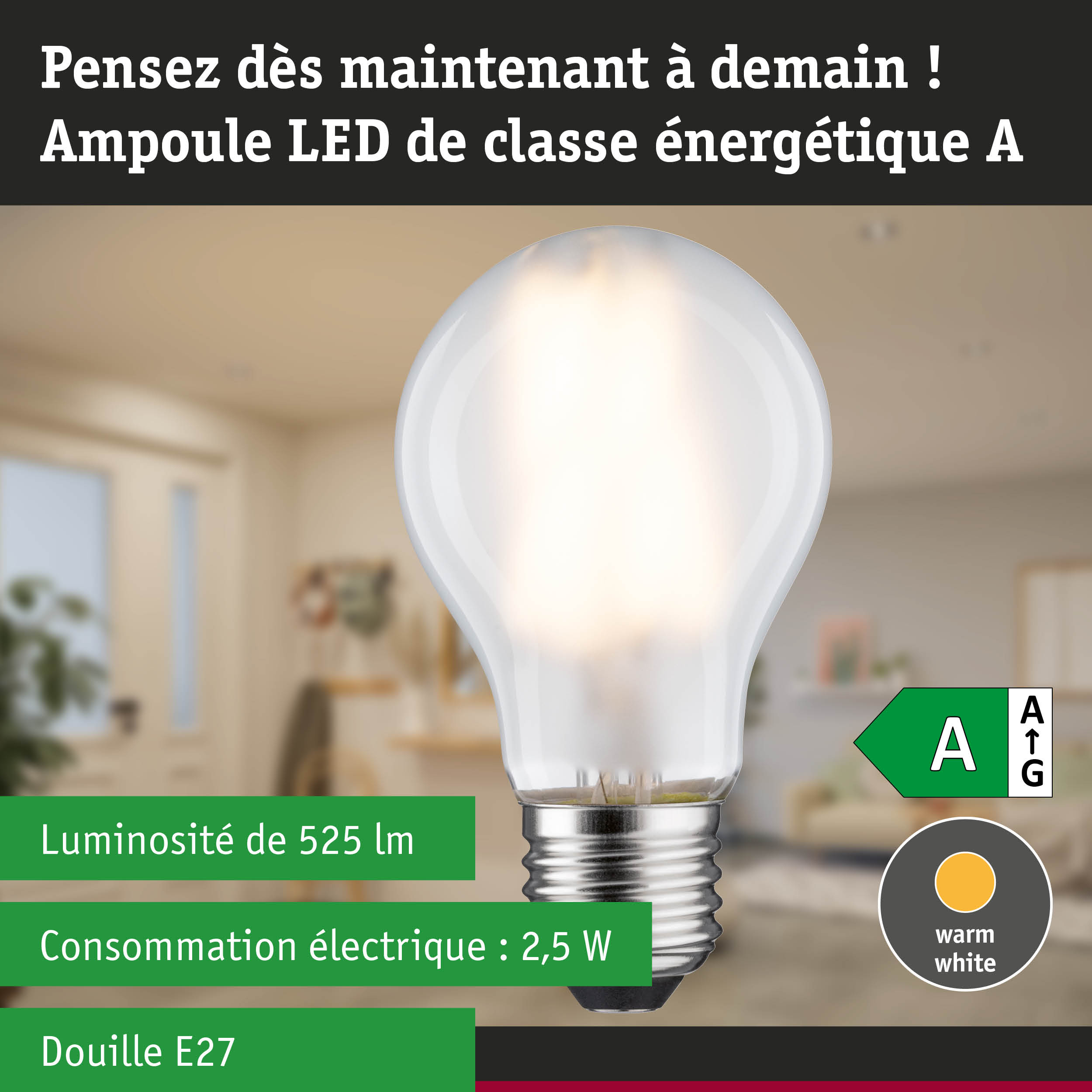 Ampoule LED économique avec lumière blanc chaud et haute efficacité pour un éclairage durable