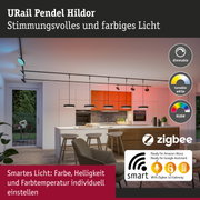 URail Pendel Hildor schwarze Schienenleuchte mit dimmbaren, farblich einstellbaren LED-Spots für smarte Beleuchtung