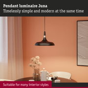 Modern black metal Juna pendant light suitable for various interior styles and home lighting