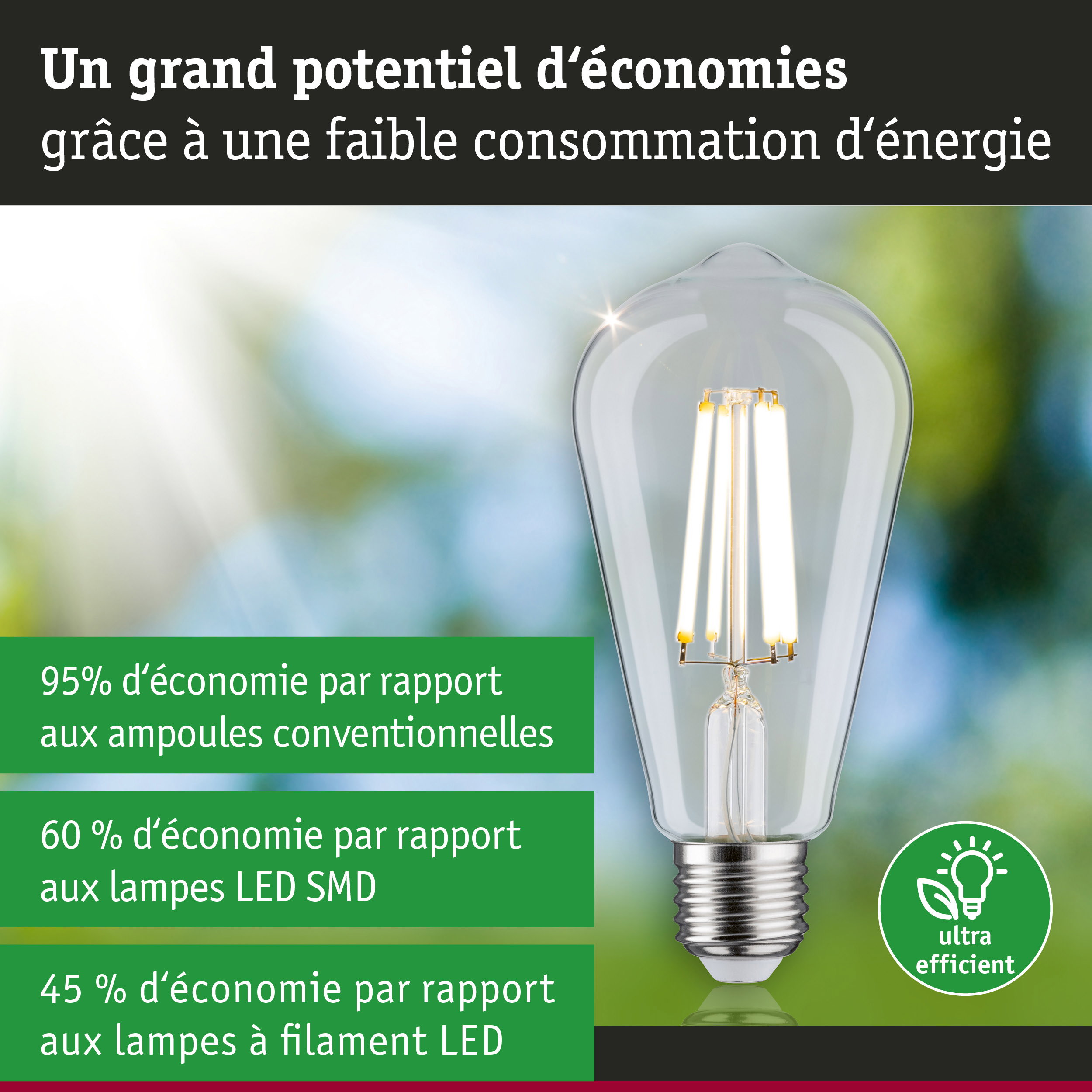 Ampoule LED économique à verre transparent et base argentée pour un éclairage efficace et écologique