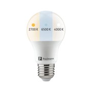 Filament 230 V E27 60mm White Switch 8,5W 806lm 230V Opal