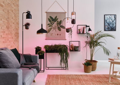 Modernes Wohnzimmer mit grauem Sofa, schwarzen Metalllampen und grünen Pflanzen in Körben und Töpfen