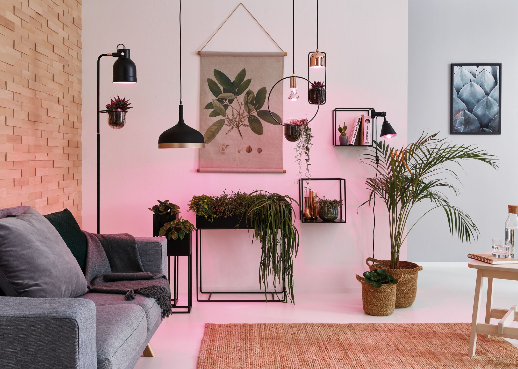 Modernes Wohnzimmer mit grauem Sofa, schwarzen Metalllampen und grünen Pflanzen in Körben und Töpfen