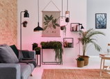 Salon moderne avec canapé gris, lampes en métal noir et plantes vertes en paniers et pots