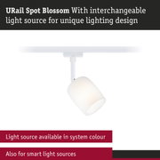 White URail Spot Blossom spotlight with interchangeable light source for unique lighting design