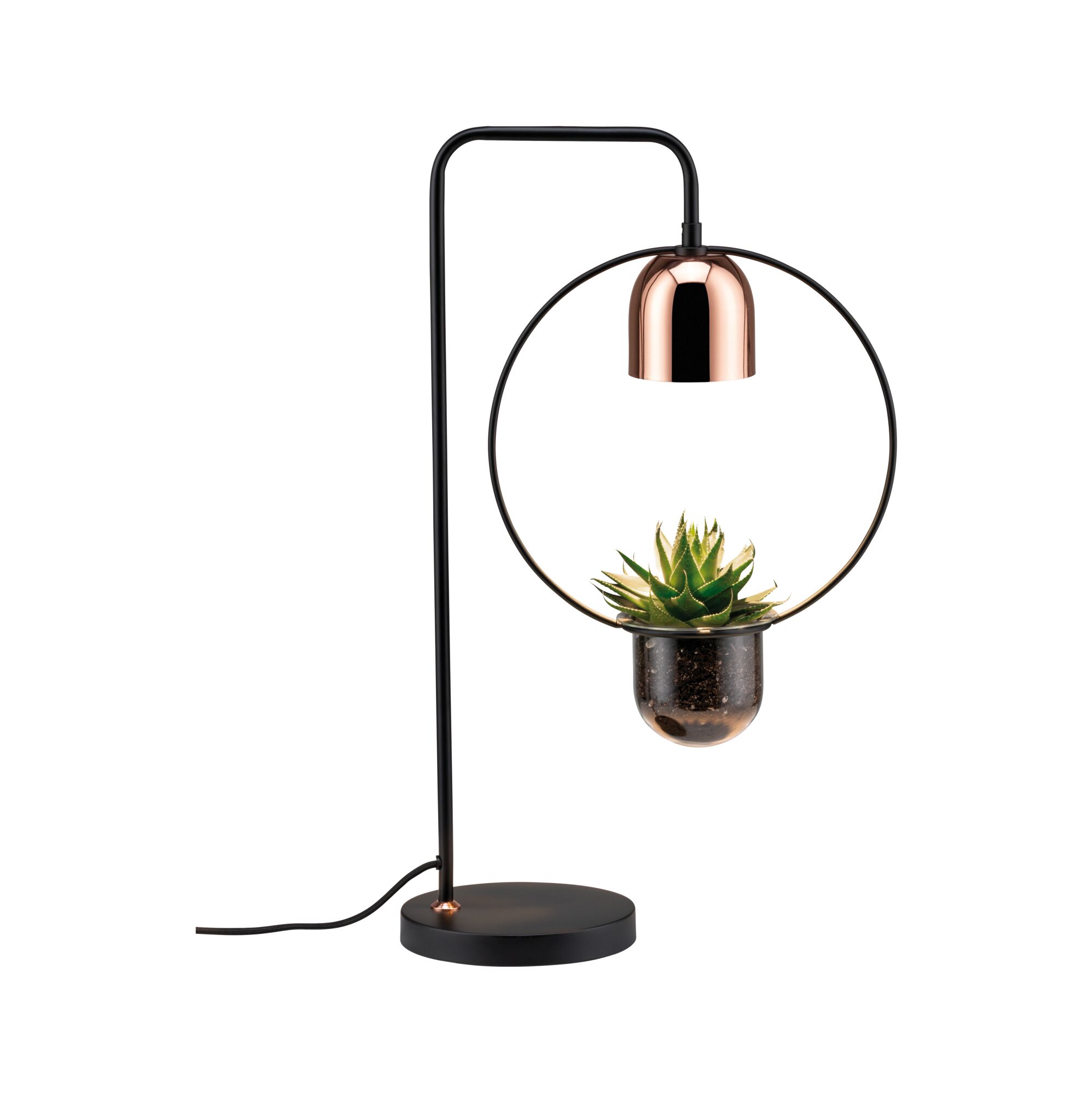 Moderne zwarte metalen tafellamp met koperen kap en ingebouwde pot met groene vetplant.
