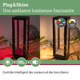 Lanterne LED extérieure noire avec changement de couleur RGBW et blanc réglable pour éclairage de jardin