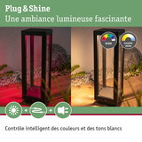Lanterne LED extérieure noire avec changement de couleur RGBW et blanc réglable pour éclairage de jardin