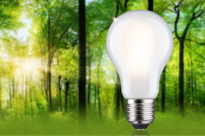 Lysende hvid LED-pære med metalbase foran grøn skovbaggrund til energibesparende belysning