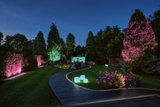 Allée de jardin éclairée par LED avec projecteurs colorés illuminant arbres et plantes en bleu et rose.