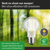 Energiezuinige LED-lamp met warm wit licht tegen een wazige groene bosachtergrond