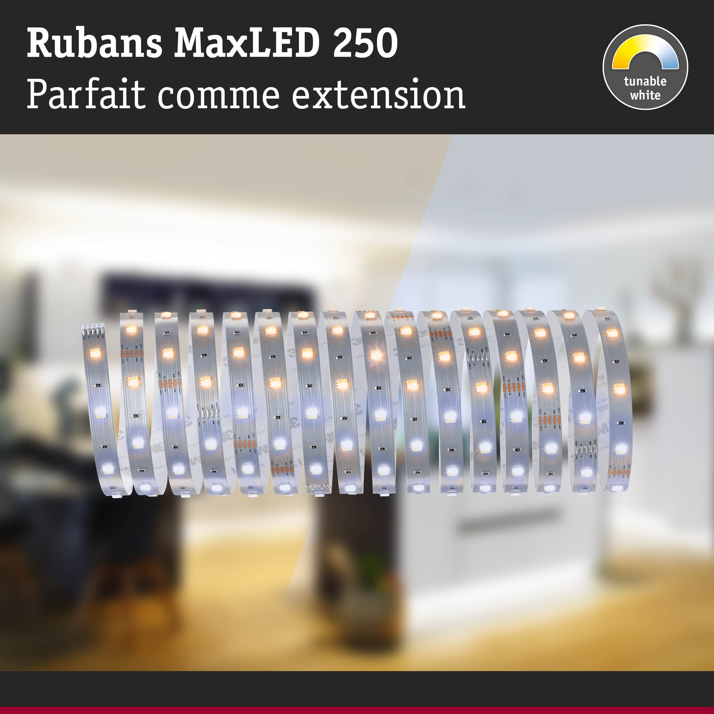 Bandeaux LED flexibles Rubans MaxLED 250 avec lumière blanche réglable pour éclairage intérieur