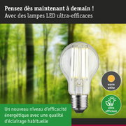 Ampoule LED à lumière blanc chaud et ultra-efficace sur fond de forêt verte floue