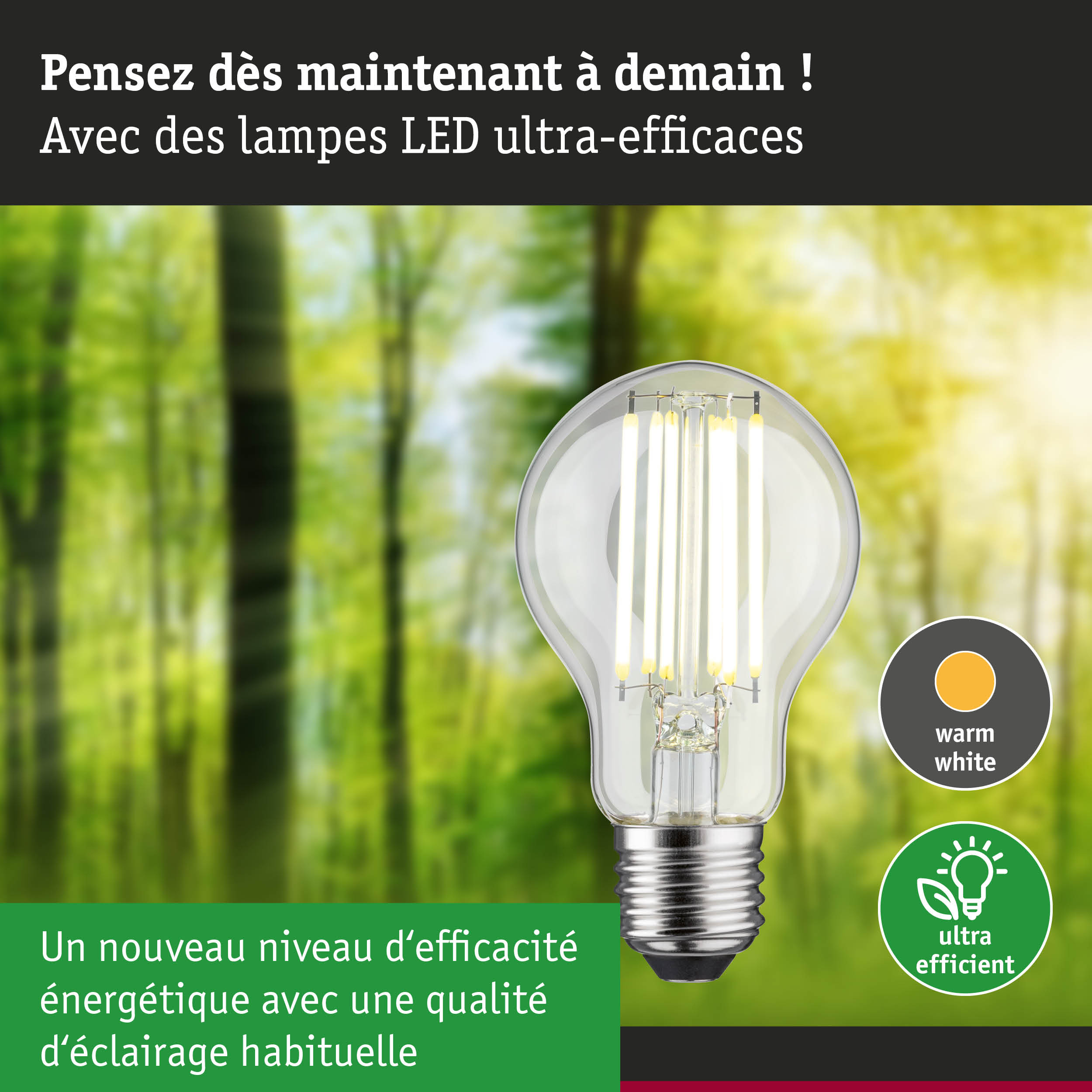 Ampoule LED à lumière blanc chaud et ultra-efficace sur fond de forêt verte floue