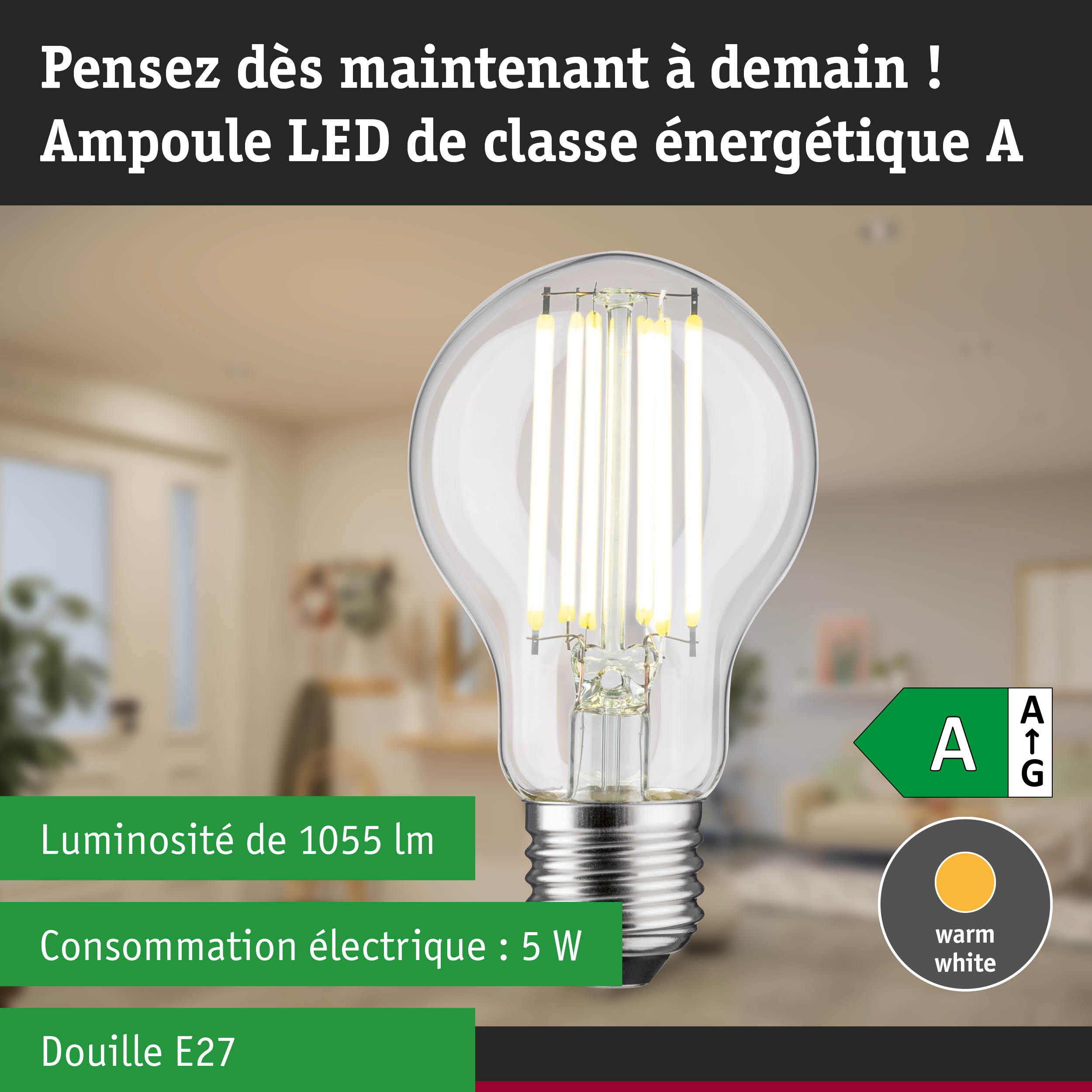 Ampoule LED à lumière blanc chaud et ultra-efficace sur fond de forêt verte floue