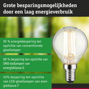 Energiezuinige lamp met helder glas en zilveren fitting toont groot besparingspotentieel