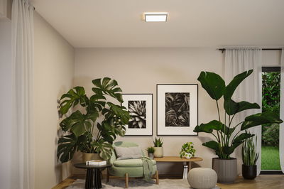 Quadratische LED-Deckenleuchte in Weiß in modernem Wohnzimmer mit grünen Pflanzen und Sitzmöbeln.
