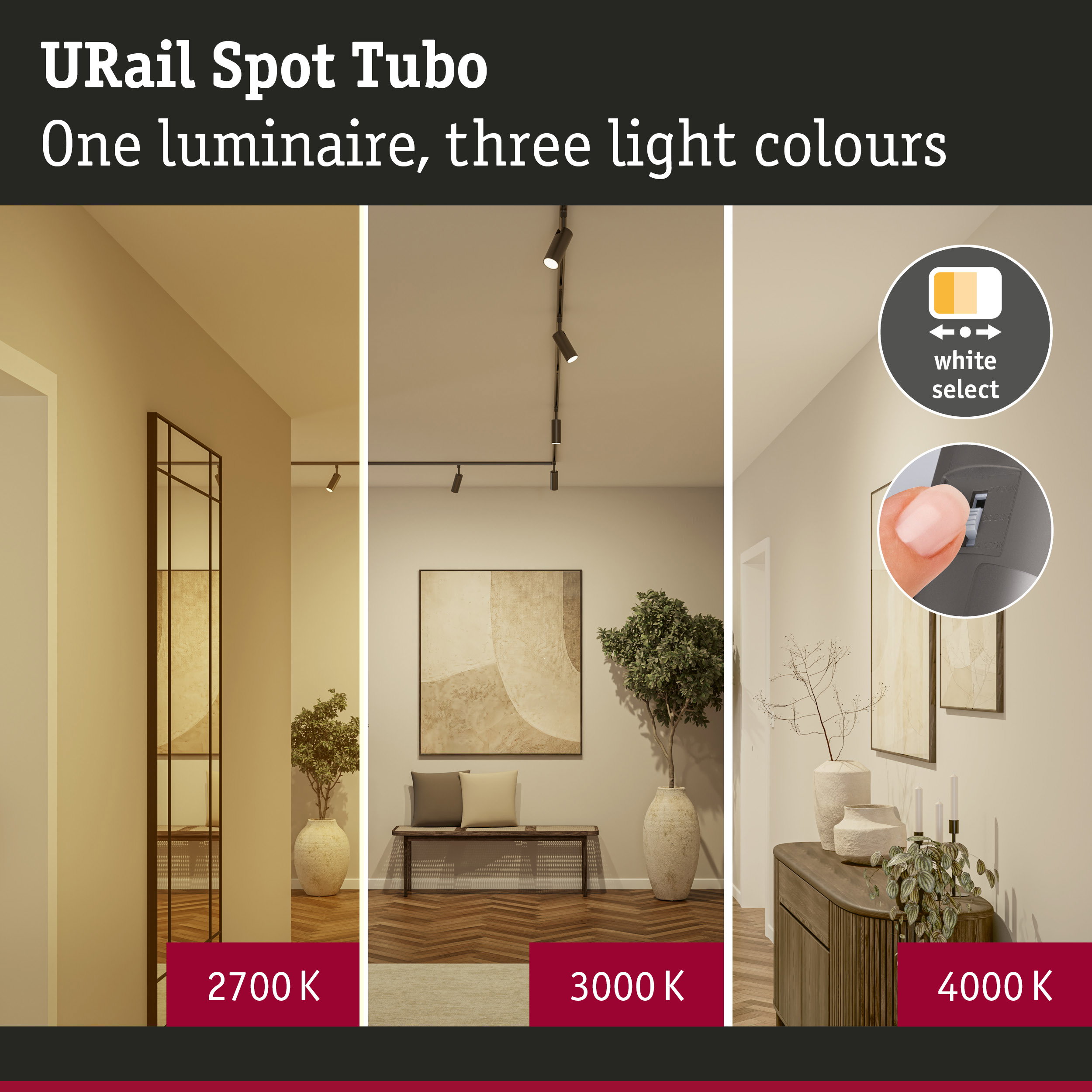 URail Rail spot Tubo Individual Spot 250lm 3,3W White Select 230V Titanium