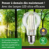 Ampoule LED claire avec lumière blanc chaud et ultra-efficace sur fond de forêt verte