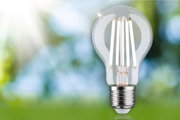 LED-Glühbirne mit klarem Glas und sichtbaren Leuchtstäben, energiesparende Beleuchtungslösung