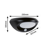 Black LED wall light with motion sensor and white diffuser, dimensions 230x100x125 mm, outdoor lighting
