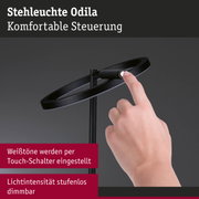 Schwarze Stehleuchte Odila mit Touch-Schalter und stufenlos dimmbarer Lichtintensität
