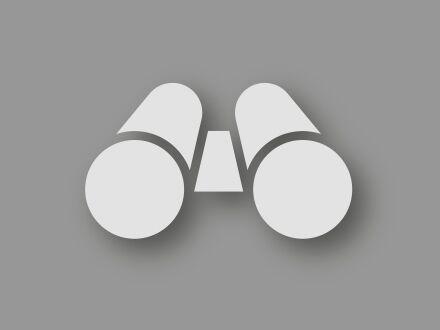 Gray binocular icon on gray background symbolizing vision and economic efficiency