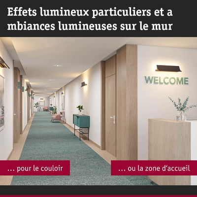 Couloir moderne avec décor bois et tapis vert éclairé pour zone d'accueil et couloir