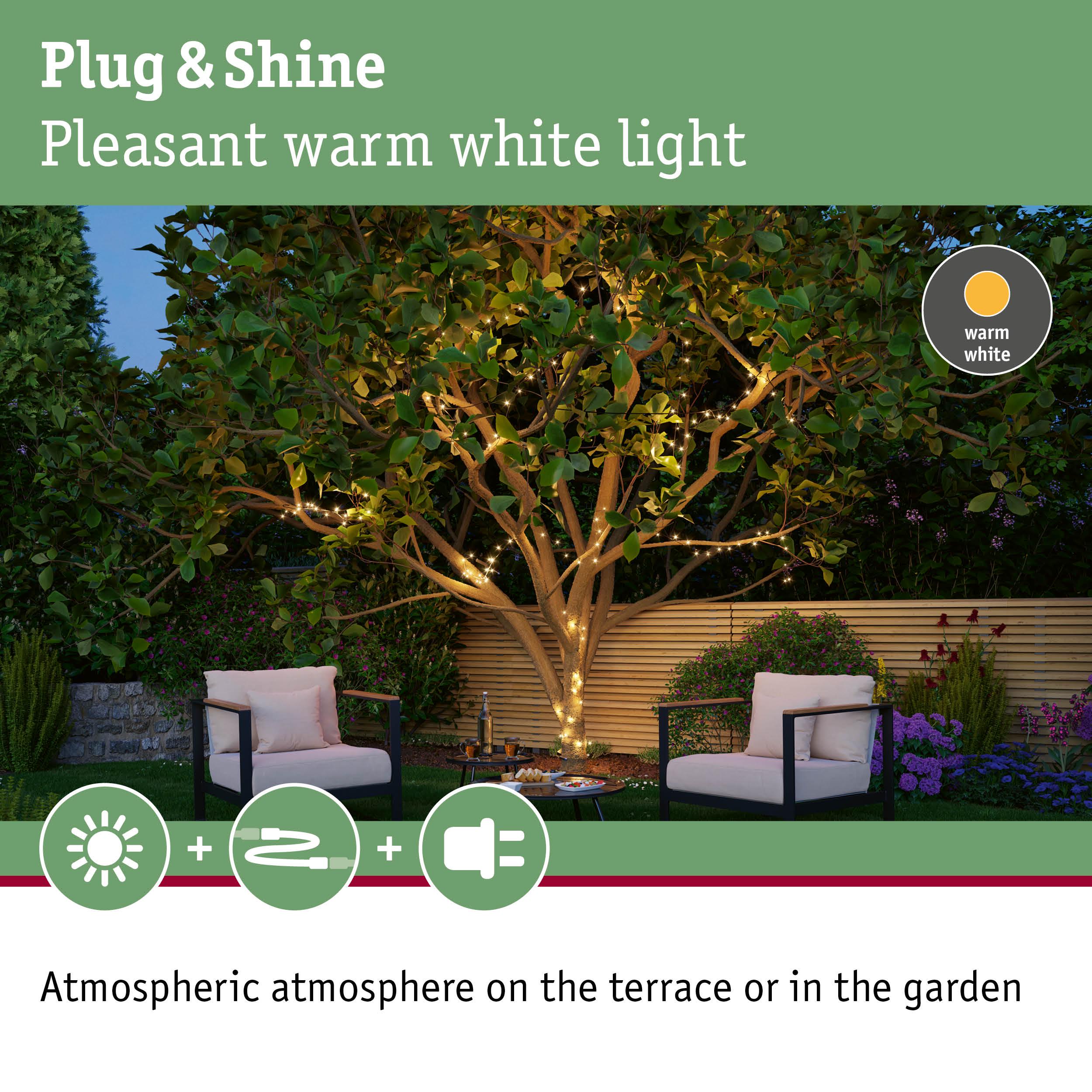 Warm white LED string lights wrapped around garden tree creating cozy outdoor lighting
