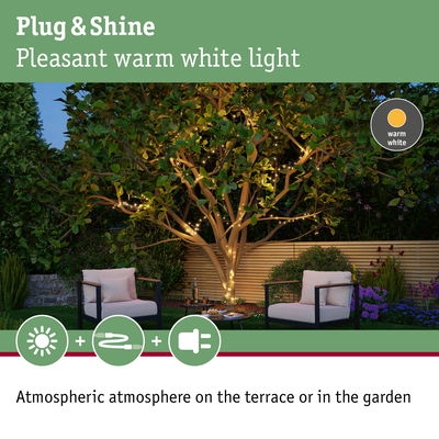 Warm white LED string lights wrapped around garden tree creating cozy outdoor lighting