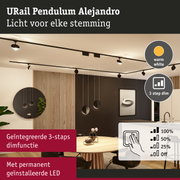 Zwart URail Pendulum Alejandro LED-plafondlicht met 3-staps dimfunctie en warmwit licht