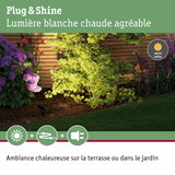 Jardin avec érable vert et fleurs violettes et rouges devant une clôture en bois éclairée en blanc chaud