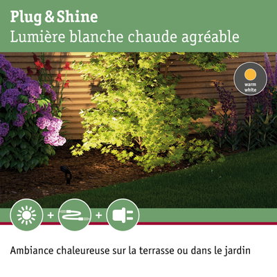 Jardin avec érable vert et fleurs violettes et rouges devant une clôture en bois éclairée en blanc chaud