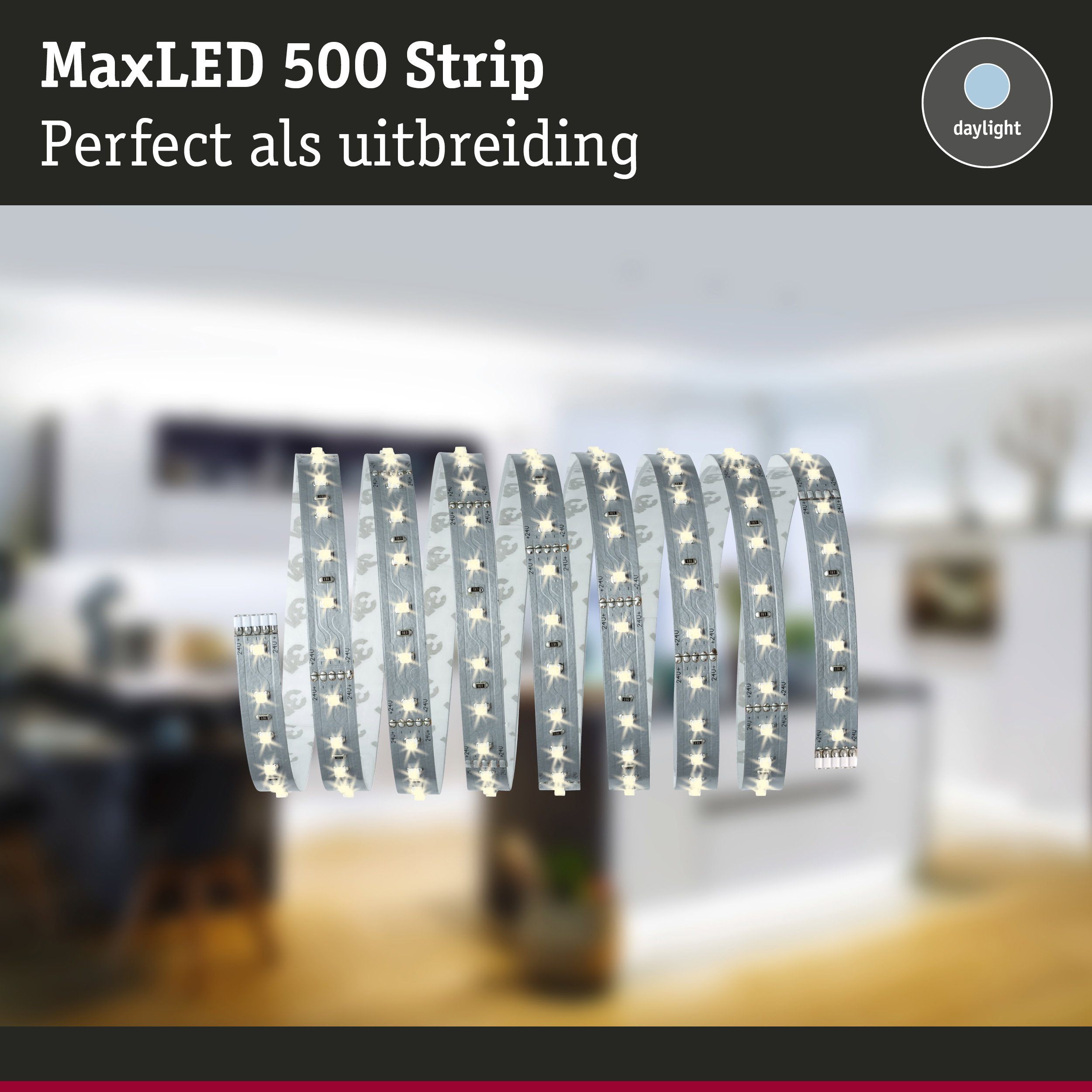MaxLED 500 flexibele LED-strip in daglichtwit, perfect als uitbreiding voor woonverlichting