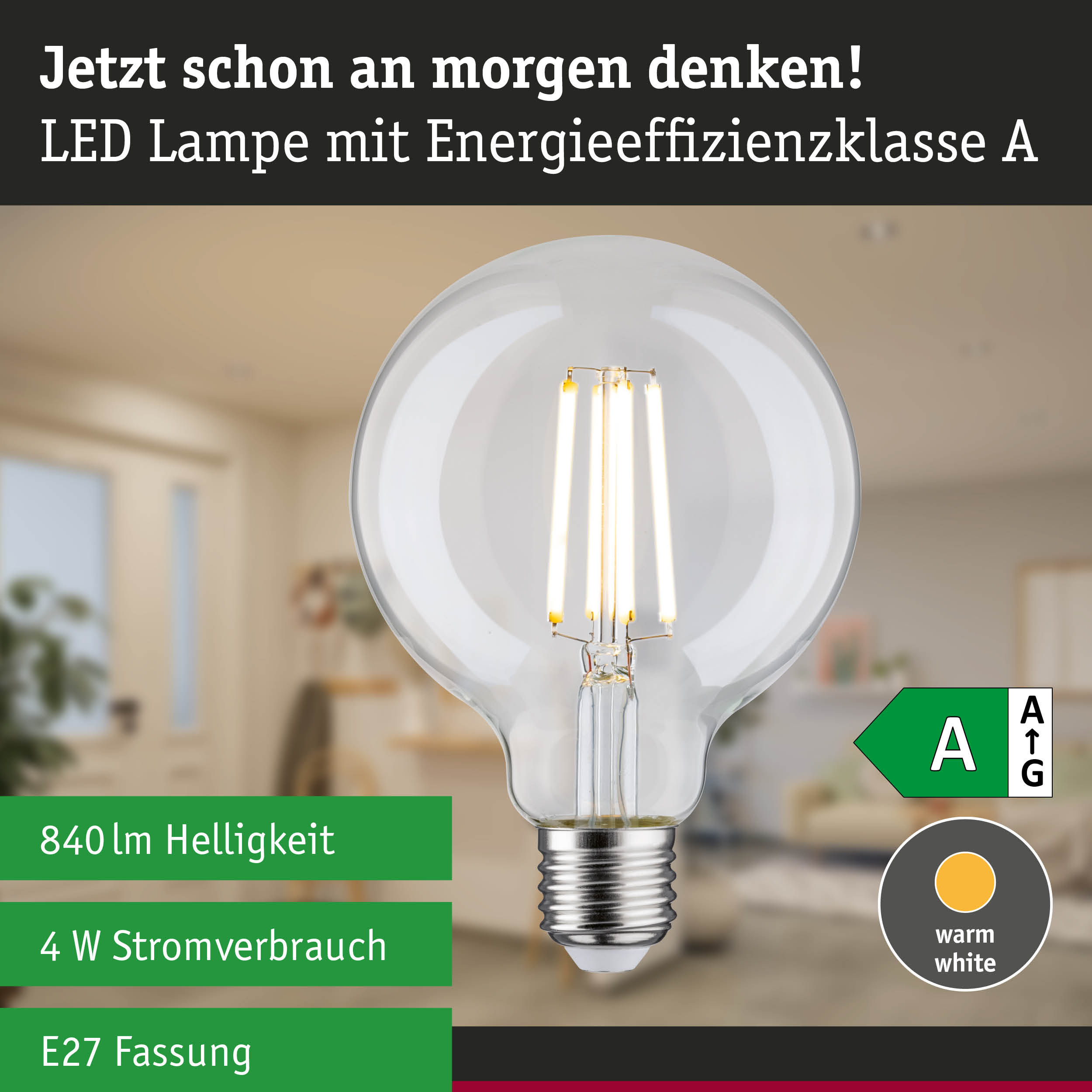 Efficient-Line Filament 230V LED Globe G95 E27 840lm 4W 3000K Klar