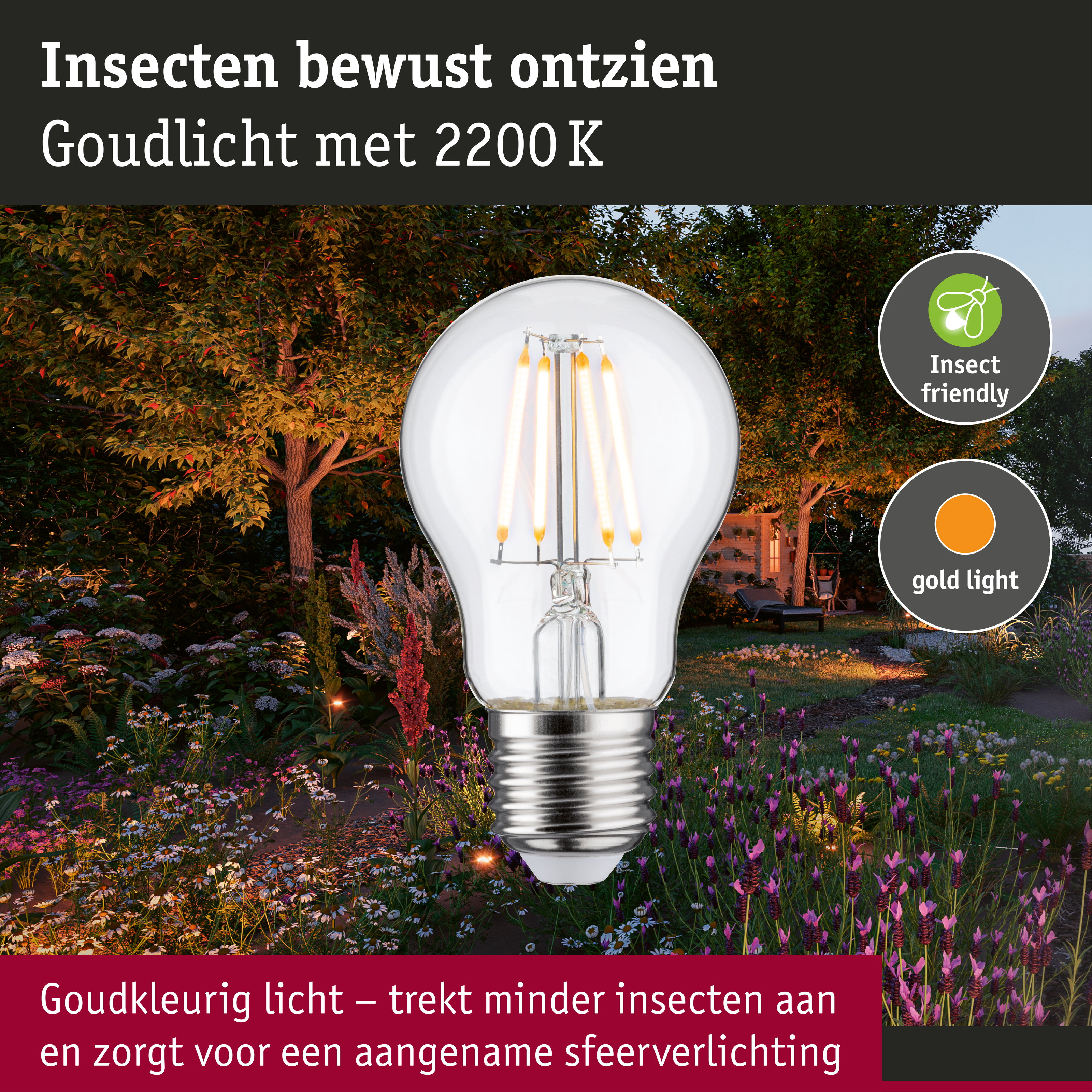 Filament 230 V LED-gloeilamp E27 insectvriendelijk 420lm 4,3W 2200K Helder
