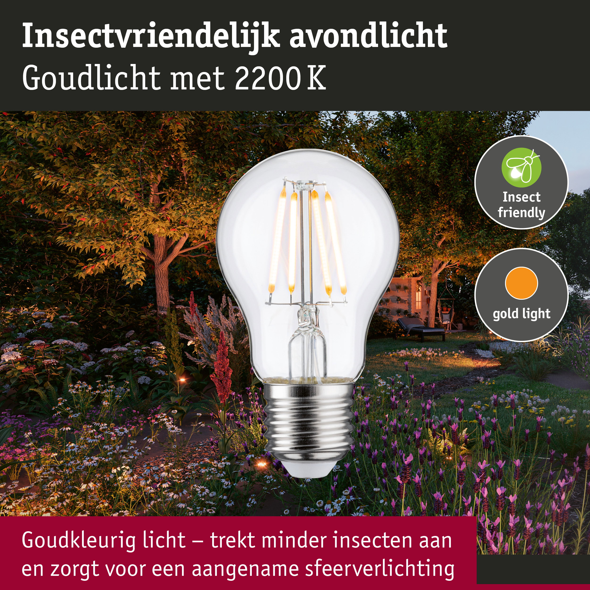 Filament 230 V LED-gloeilamp E27 insectvriendelijk 420lm 4,3W 2200K Helder