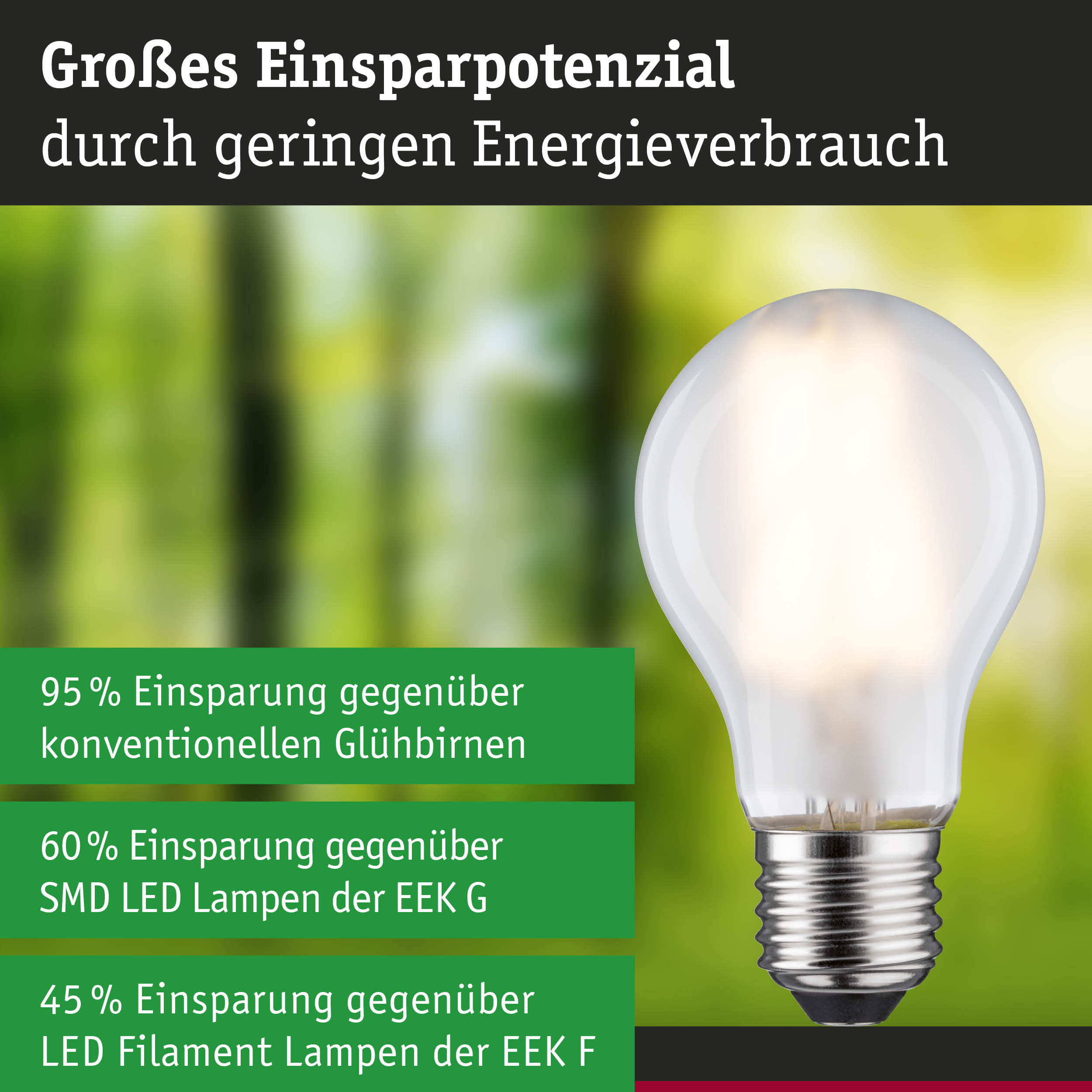 Efficient-Line Filament 230V LED Birne E27 Einzelleuchte 840lm 4W 3000K Matt