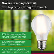 Efficient-Line Filament 230V LED Birne E27 Einzelleuchte 840lm 4W 3000K Matt