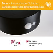 Solar LED Außenwandleuchte Eileen Bewegungsmelder IP44 3000K 400lm Schwarz