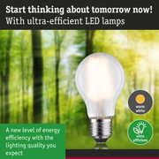 Energy-saving LED lamp with warm white light and high efficiency against green forest background