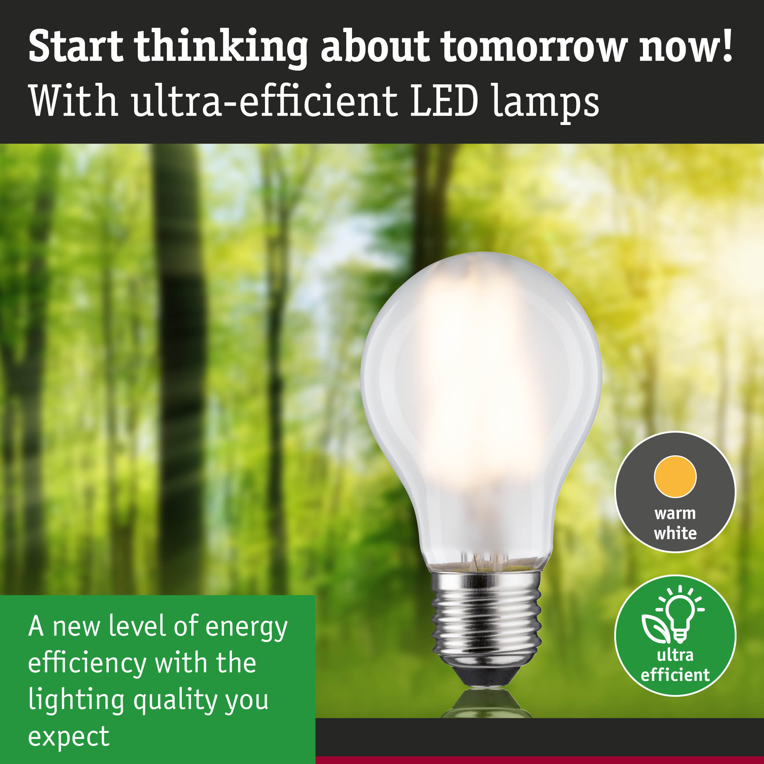 Energy-saving LED lamp with warm white light and high efficiency against green forest background