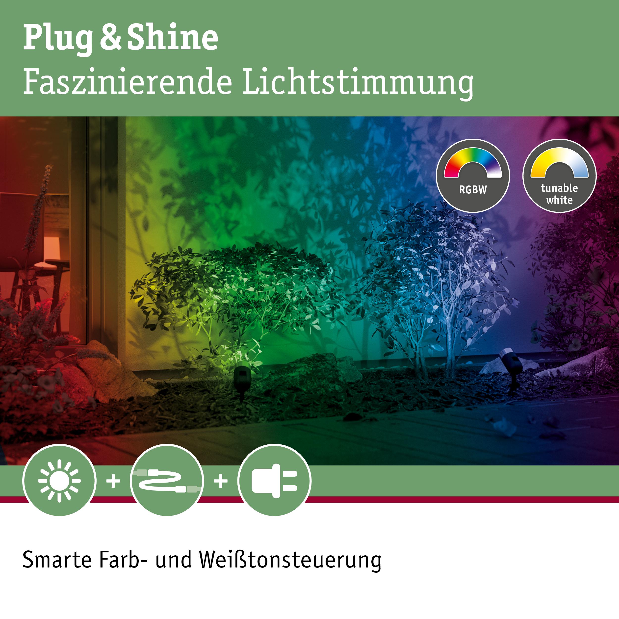 Bunte RGBW-Gartenbeleuchtung mit smarter Farb- und Weißtonsteuerung für stimmungsvolle Außenbeleuchtung