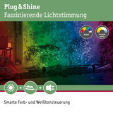 Bunte RGBW-Gartenbeleuchtung mit smarter Farb- und Weißtonsteuerung für stimmungsvolle Außenbeleuchtung