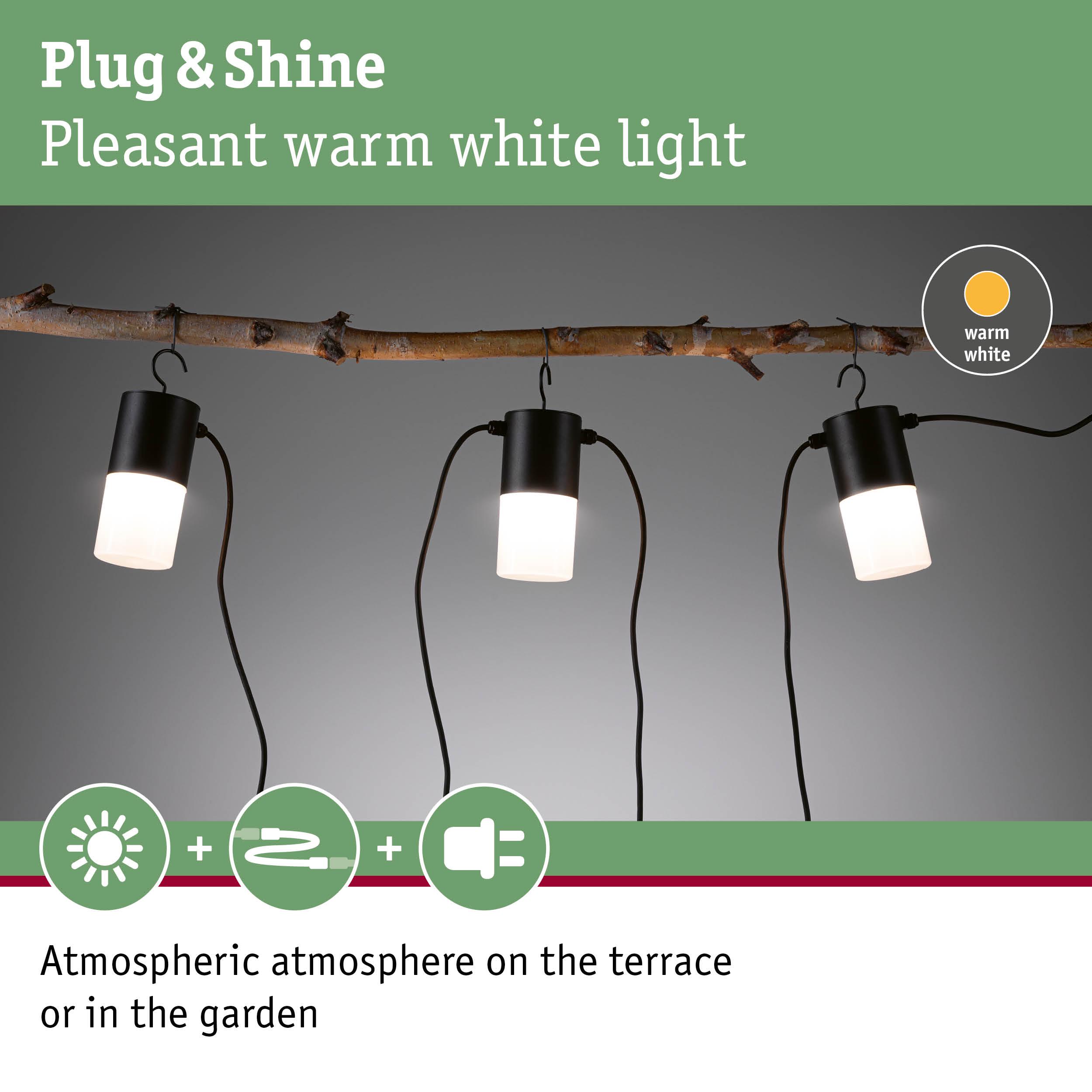 Black Plug & Shine LED lights with warm white glow hanging on branch for garden and terrace lighting