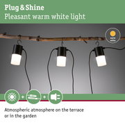 Black outdoor lights with warm white light hanging on natural branch for garden and terrace lighting