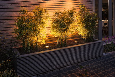 Éclairage extérieur encastré au sol en aluminium blanc chaud illuminant des bambous devant un mur en bois