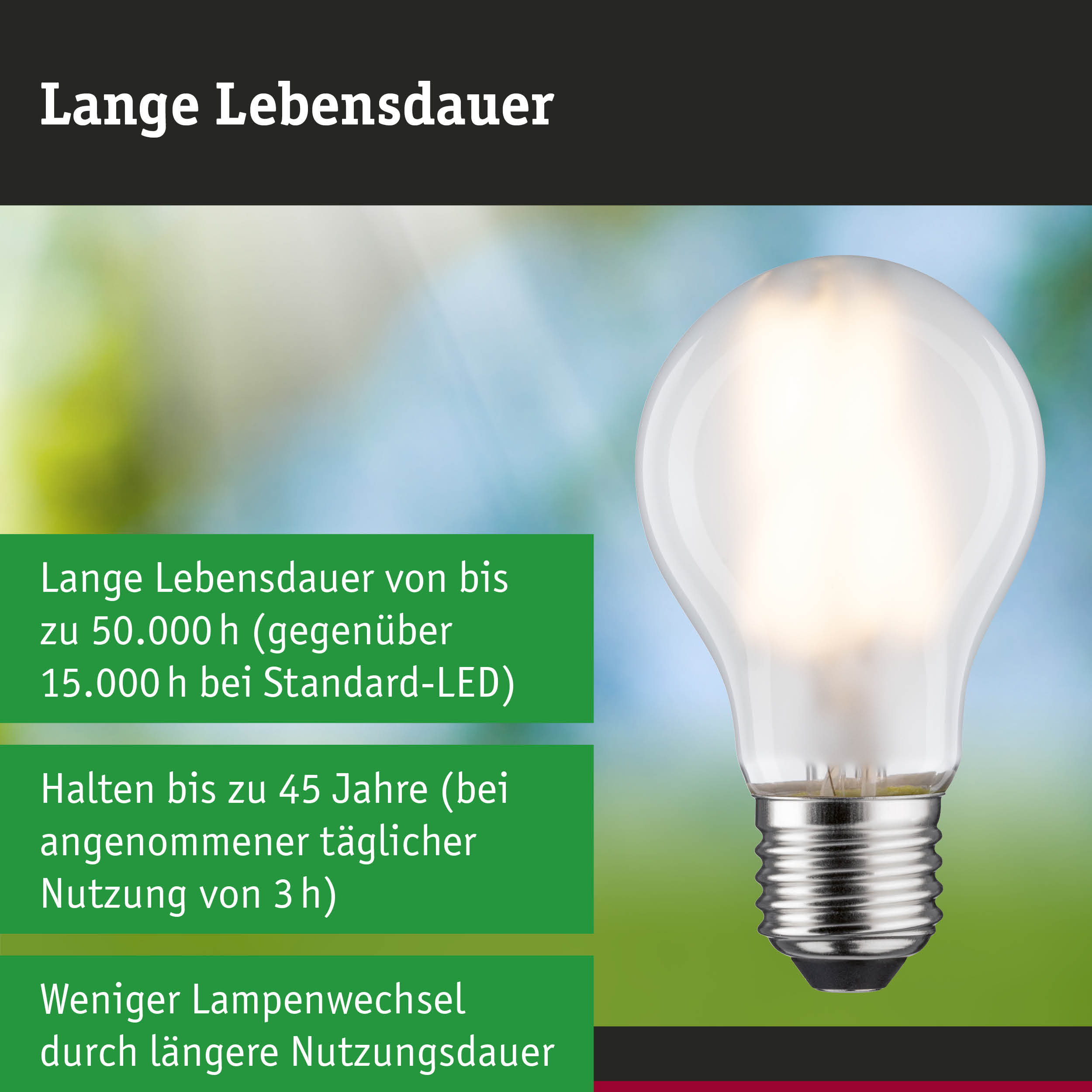 Efficient-Line Filament 230V LED Birne E27 Einzelleuchte 1055lm 5W 3000K Matt